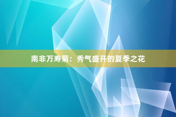 南非万寿菊：秀气盛开的夏季之花