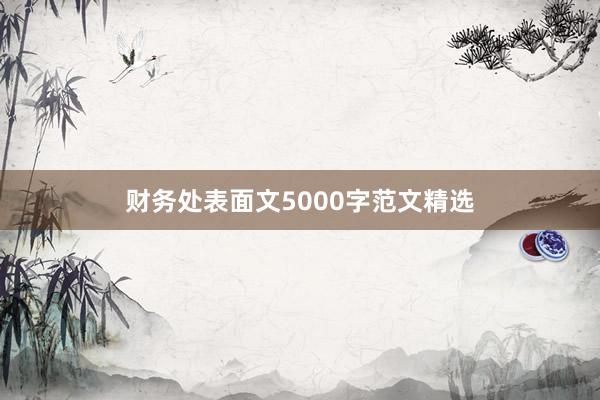 财务处表面文5000字范文精选